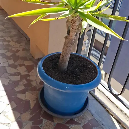 Beautiful 1-room Apartment, South-facing, And Train Station 15 Minutes Away On Foot Apartament Cannes